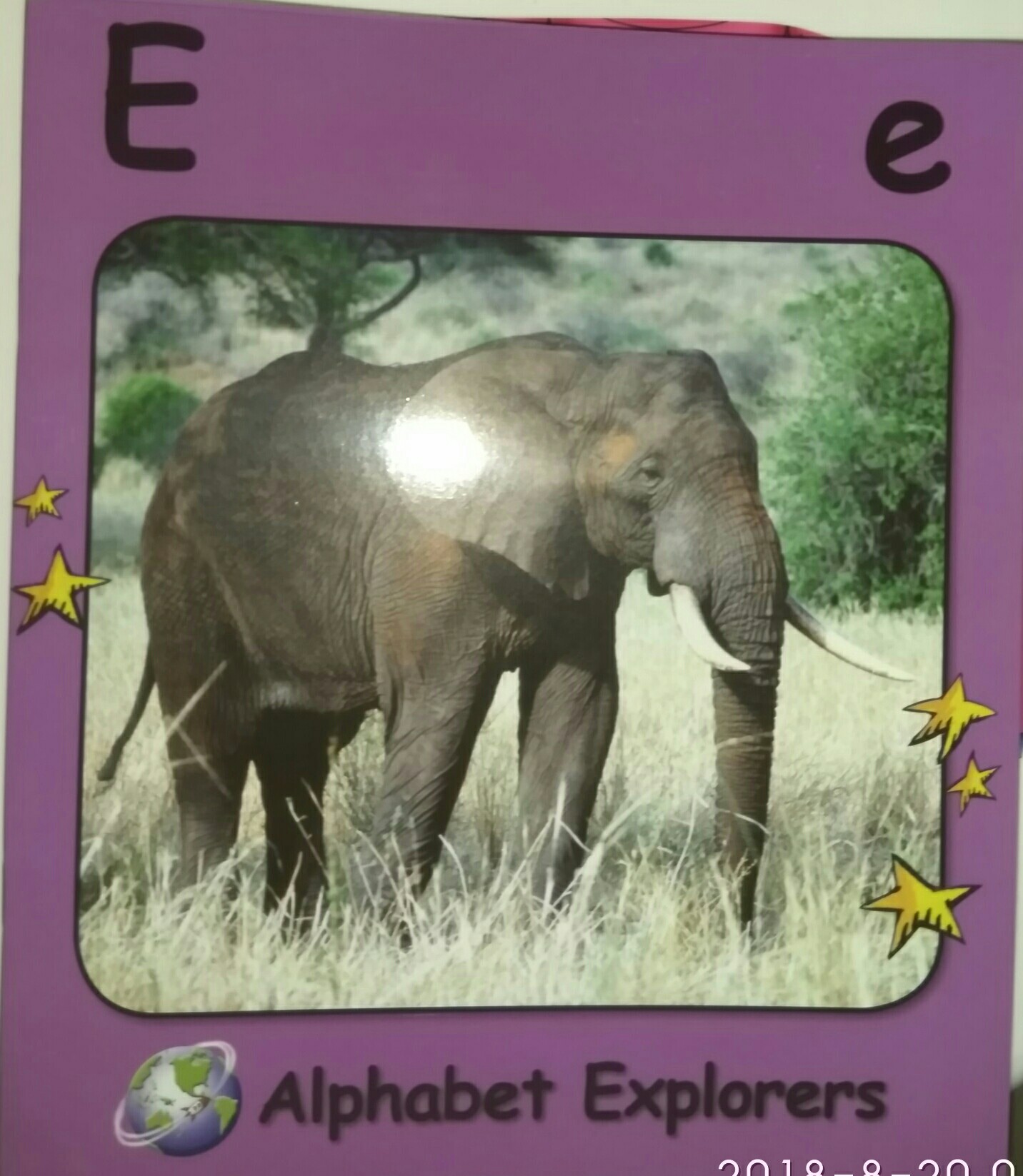 Alphabet   Explorers   E   e