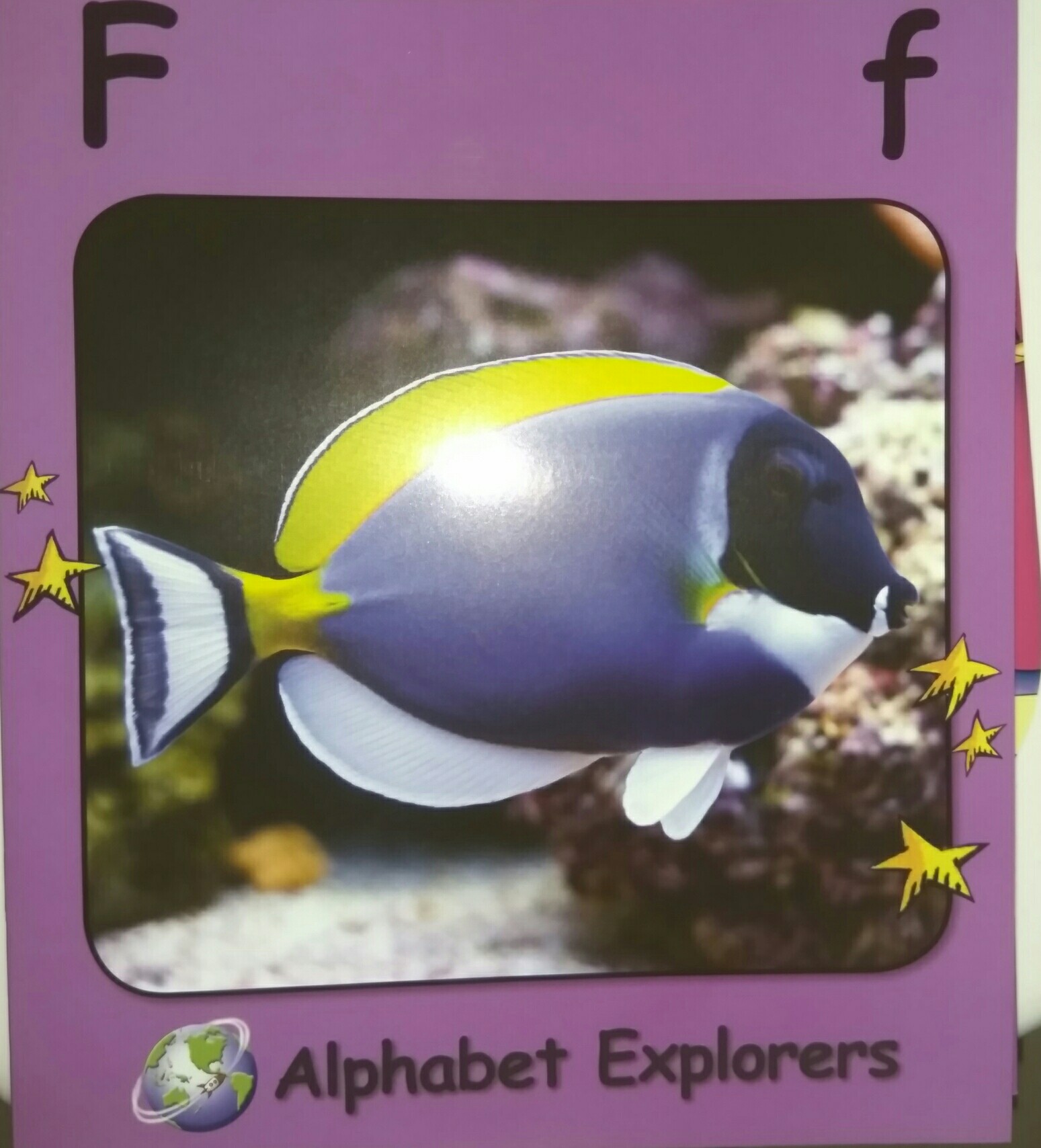 Alphabet   Explorers   F   f