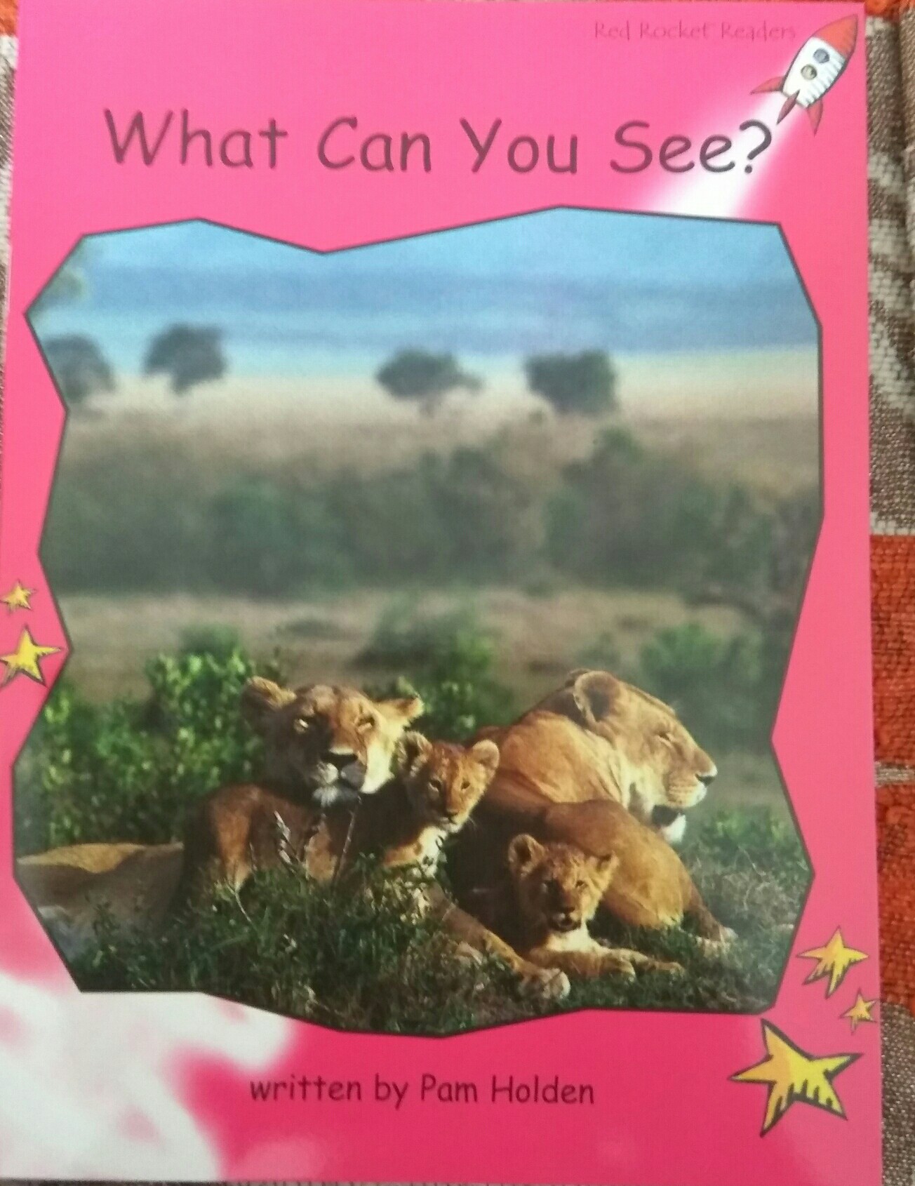 what   can   you  see?