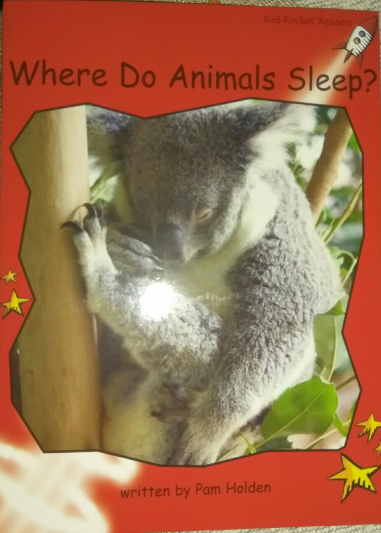 where  do  animals   sleep?