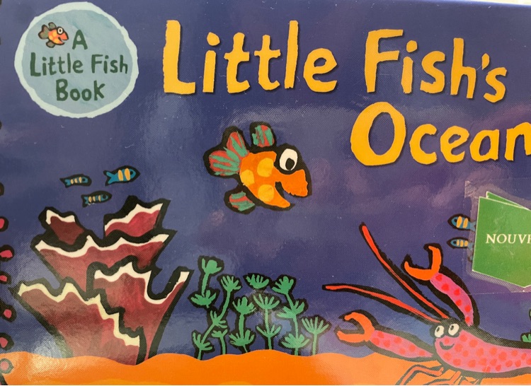 Little Fish's Ocean