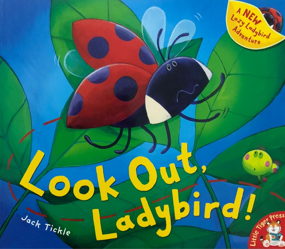 Look out!  Ladybird!