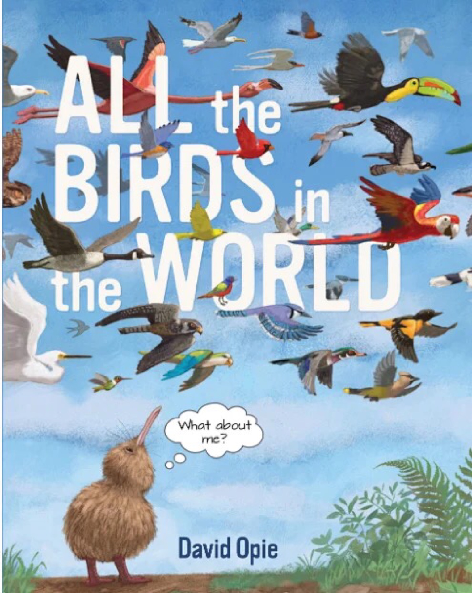 All the Birds In the World