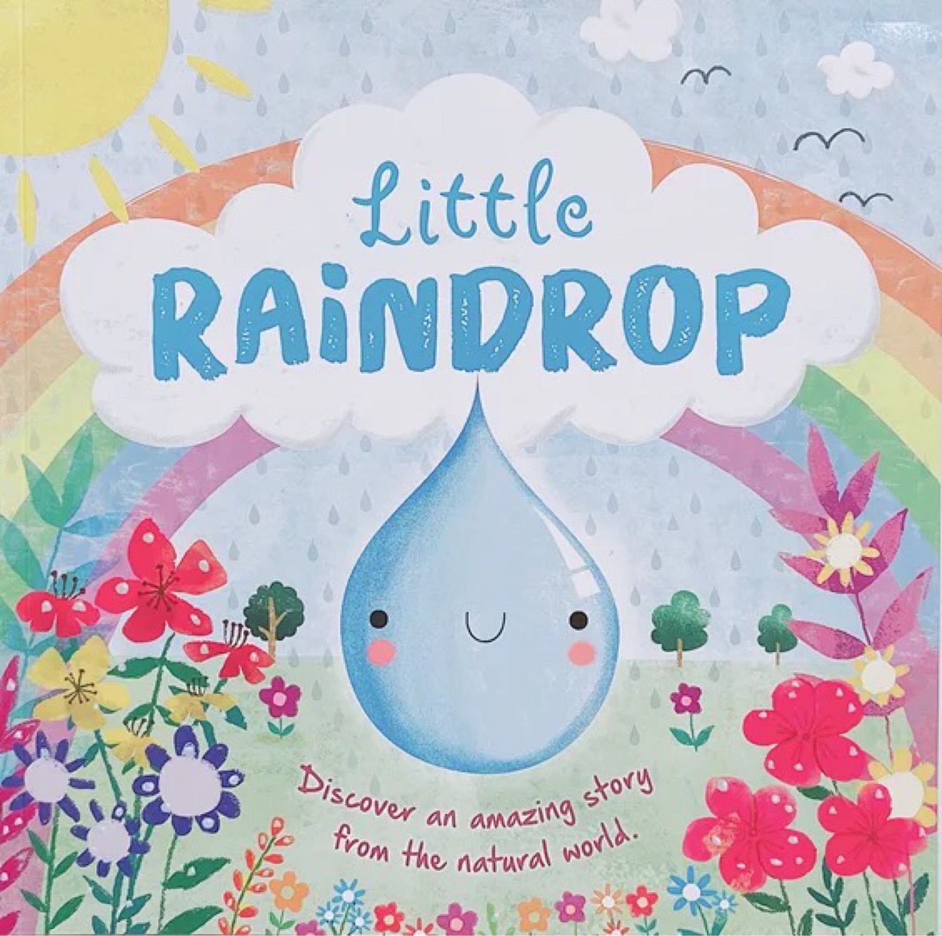 Little Raindrop