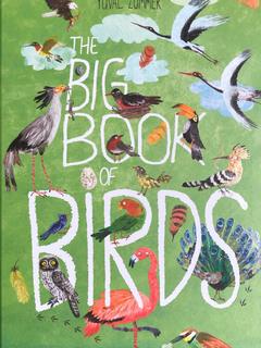 THE BIG BOOK OF BIRDS