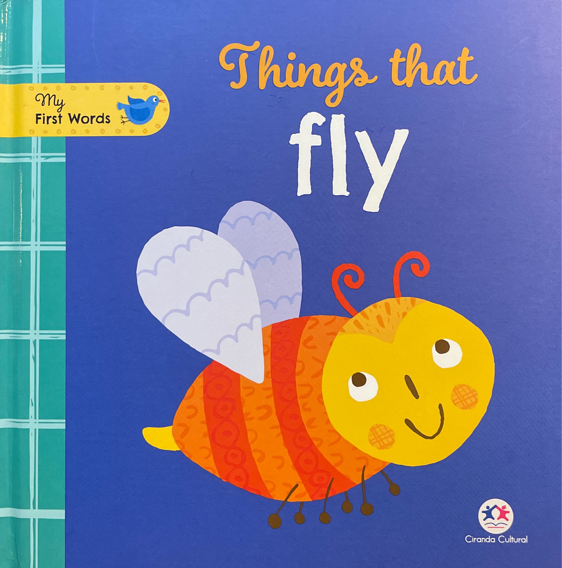 thing that fly