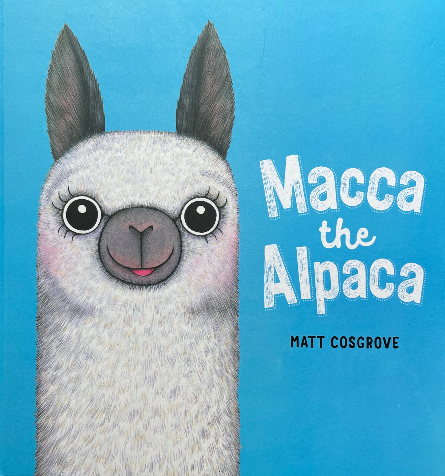 Macca the Alpaca