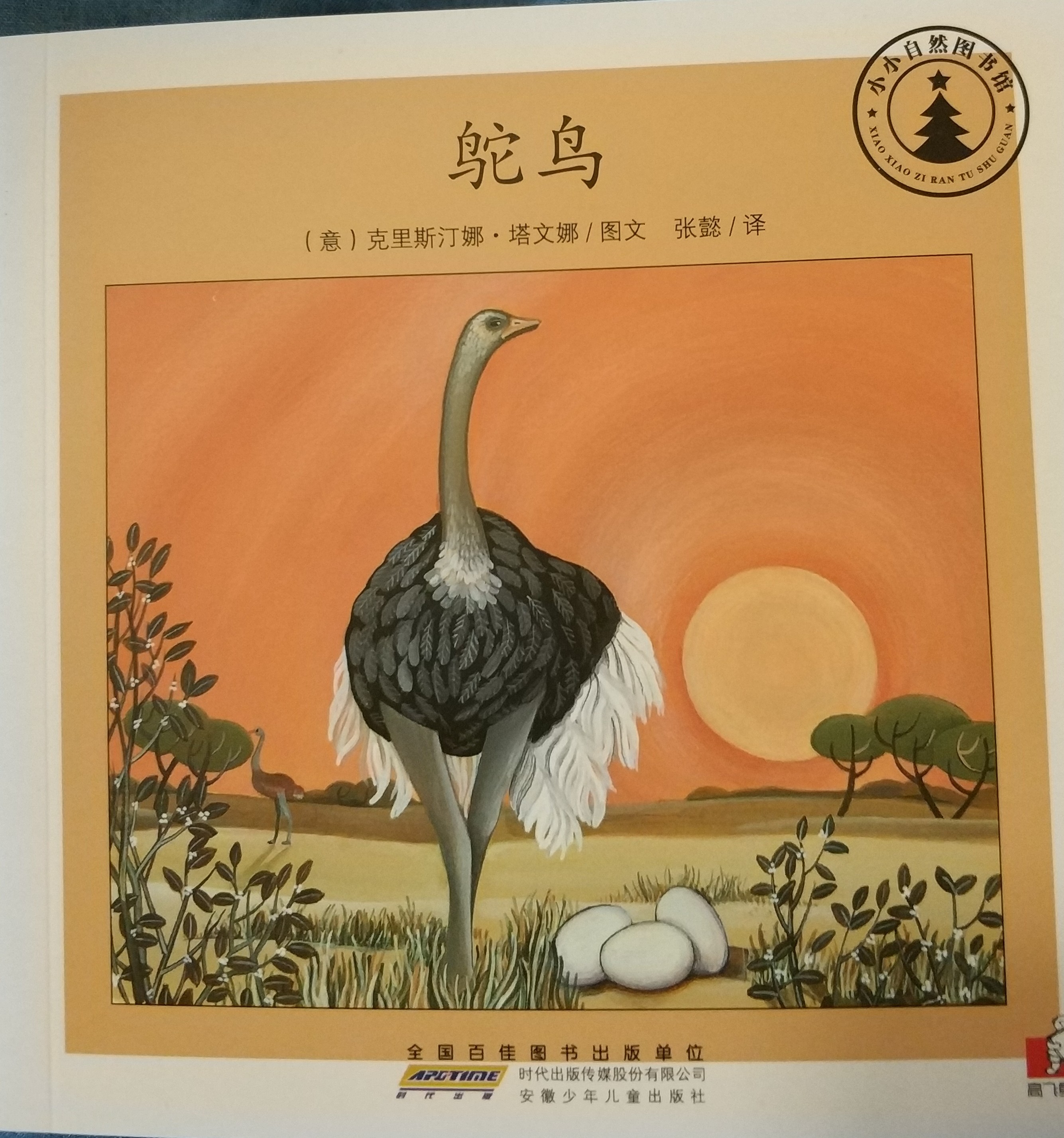 小小自然圖書館：鴕鳥