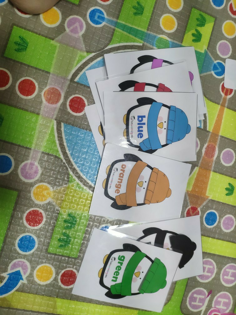 企鵝帽子顏色配對