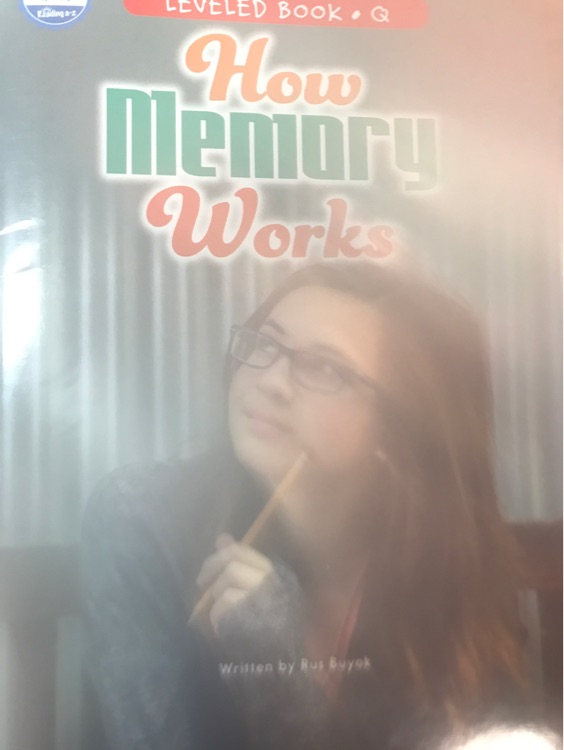 how memory works