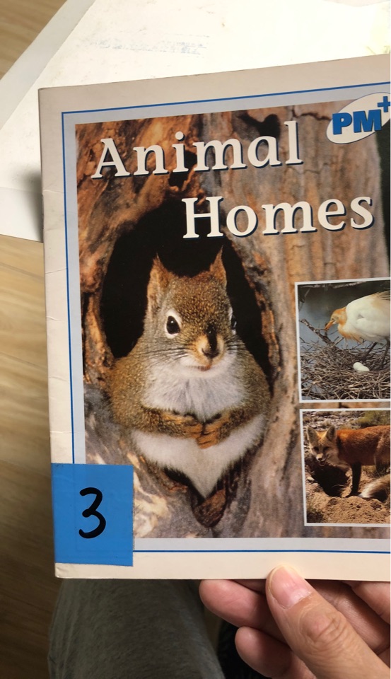 Animal homes