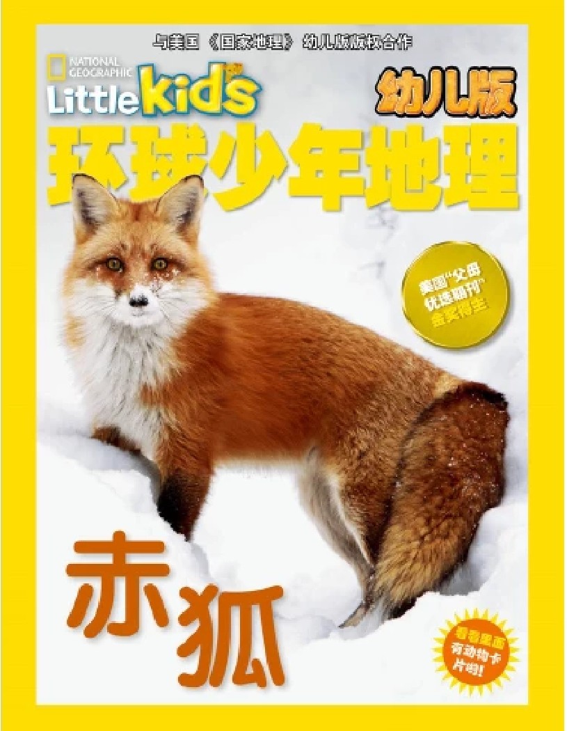 環(huán)球少年地理赤狐