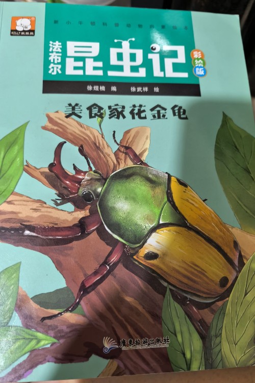 法布爾昆蟲記美食家花金龜