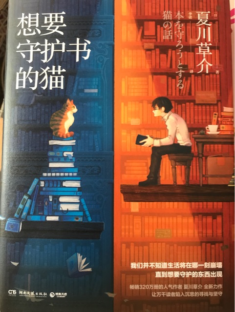 想要守護書的貓