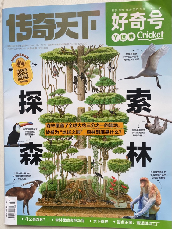 好奇號2024年8月(下)探索森林