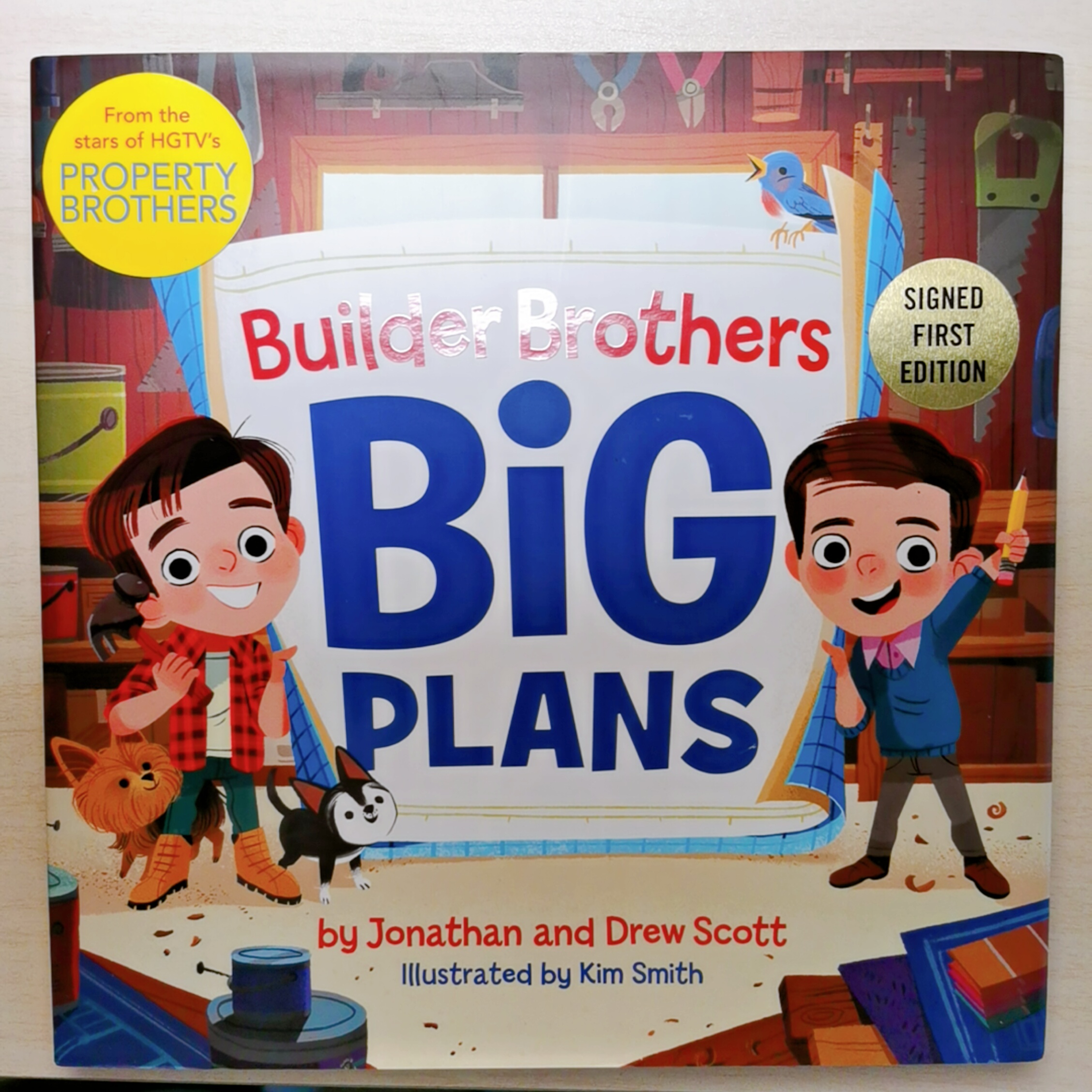 Builder Brothers Big Plans