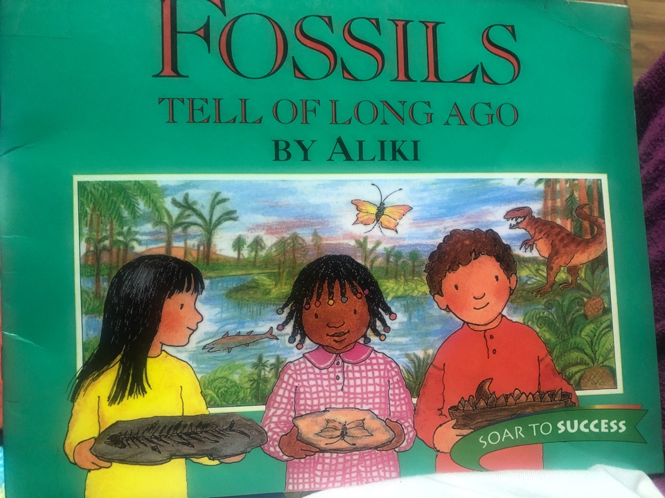 Fossils