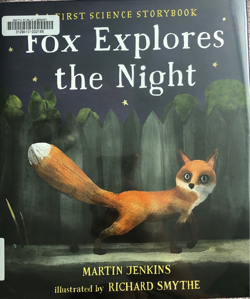 Fox Explores the Night