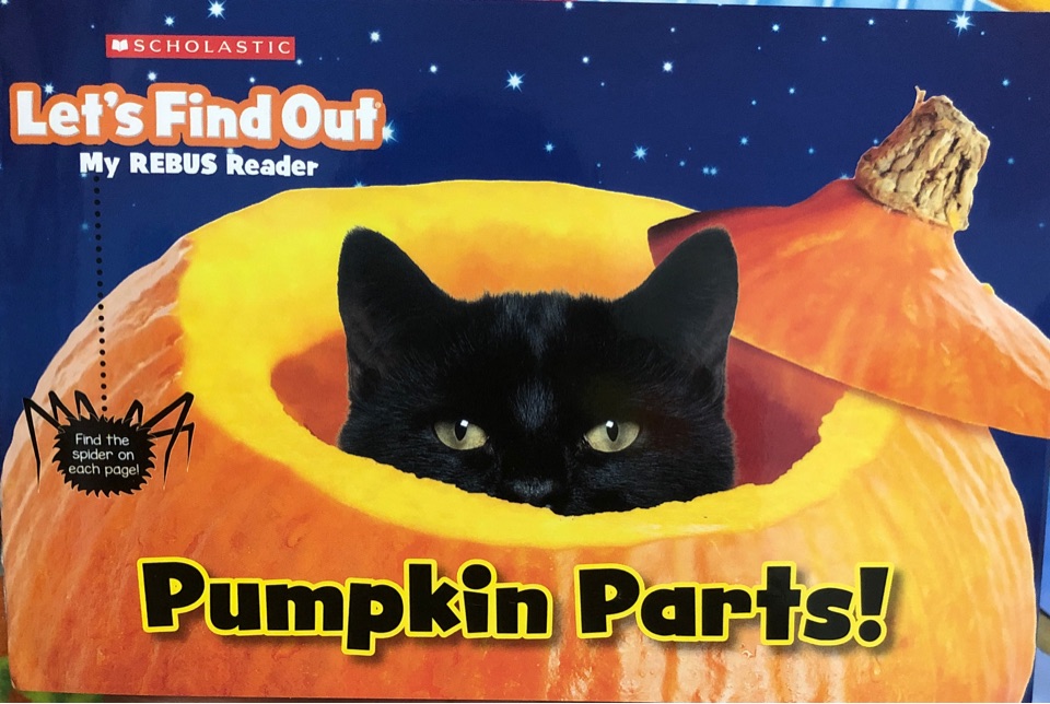 Pumpkin Parts!