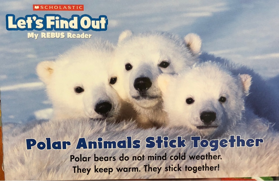 Polar animals stick together