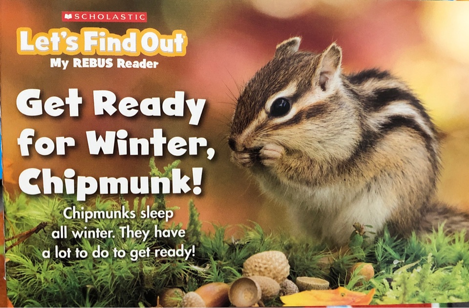 Get ready for winter, Chipmunk!