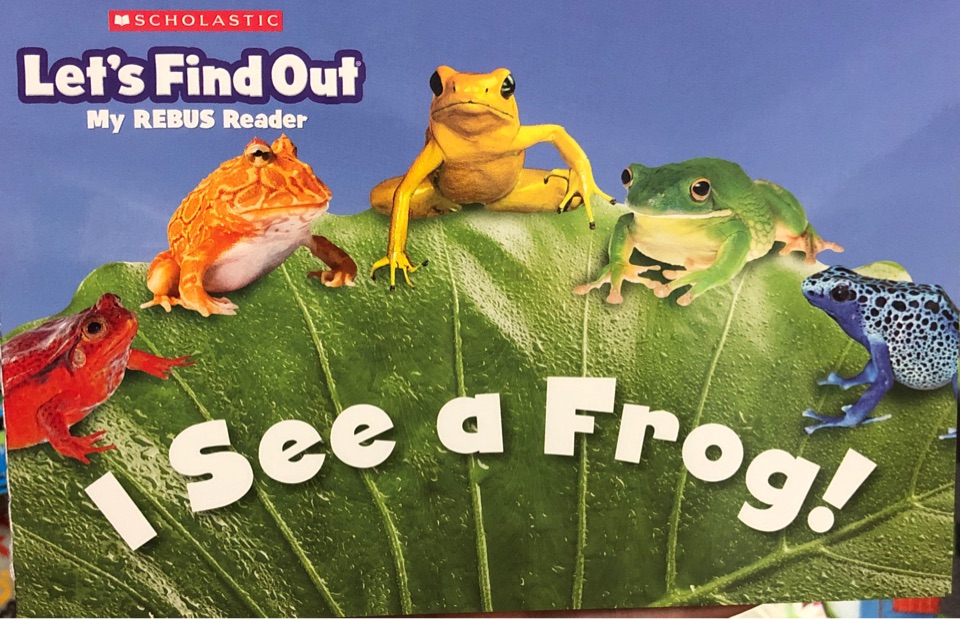 I see a frog!