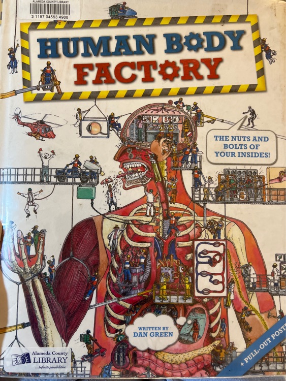 Human Body Factory