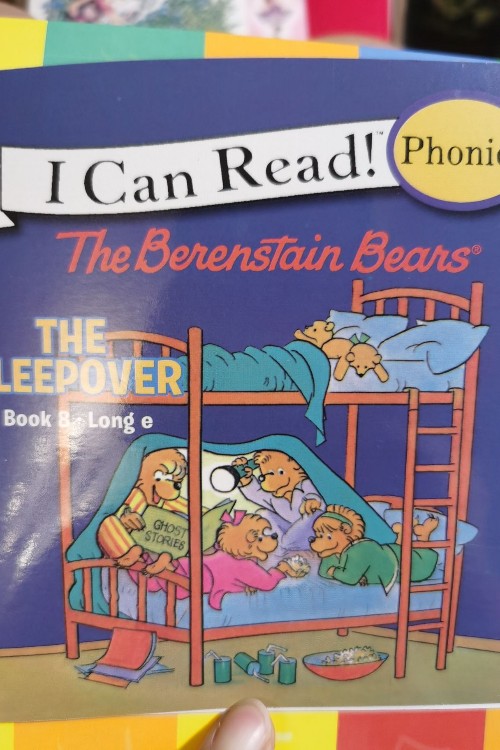 the berenstein bears the sleepover