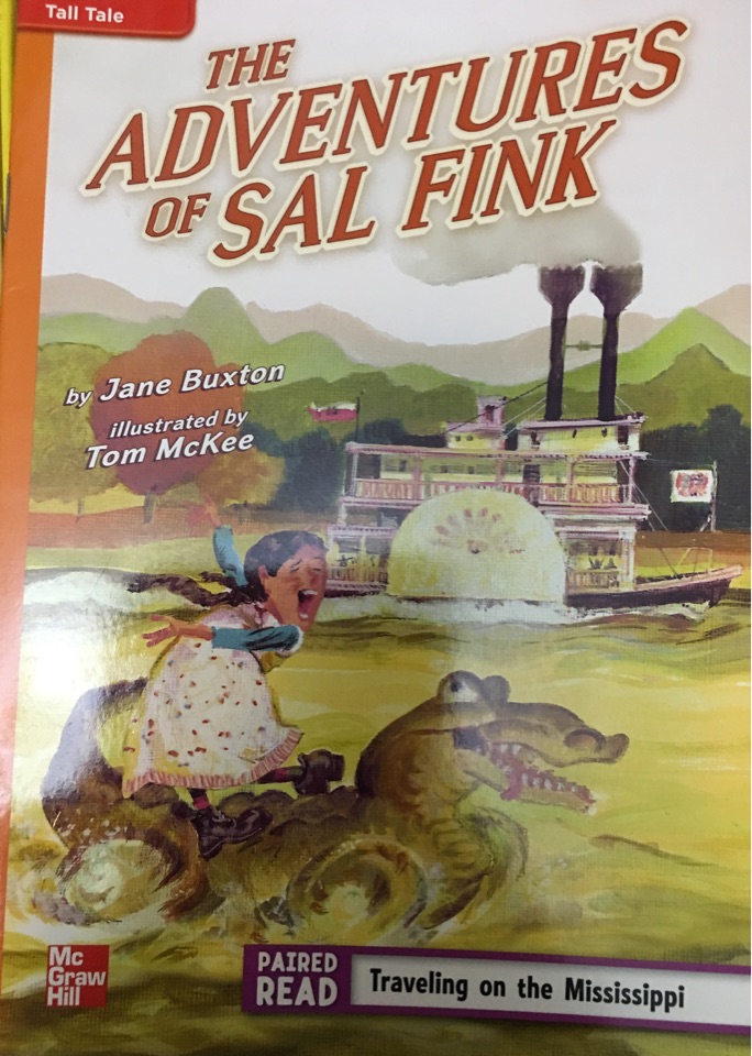 The adventures of Sal Fink