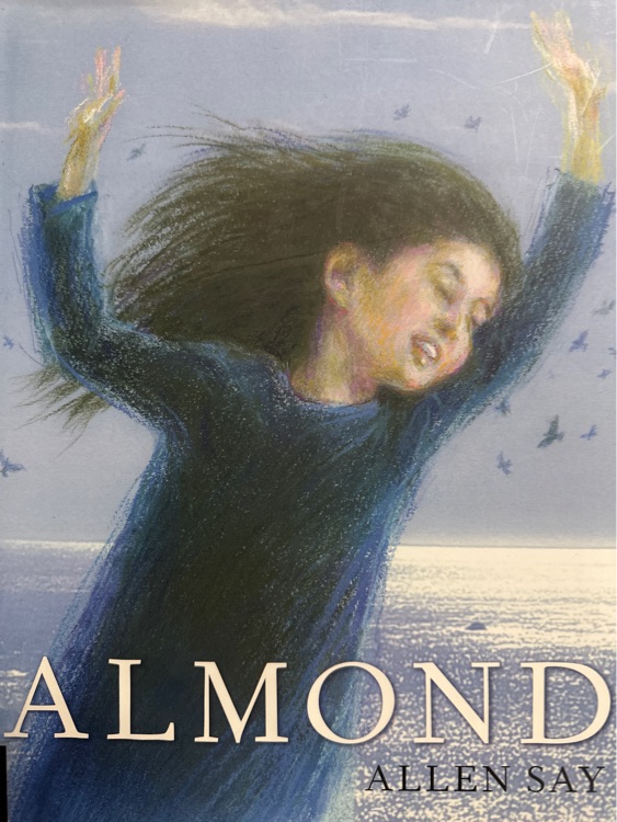 英文原版 Almond 阿爾蒙德 精裝 心理成長自我認同 凱迪克金獎作家 Allen Say 會彈野蜂飛舞的女孩