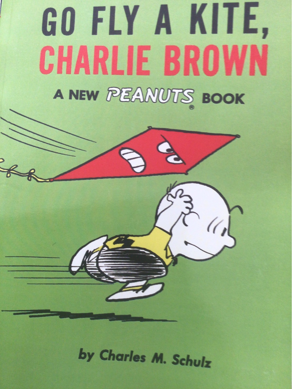 Go fly a kite Charlie Brown