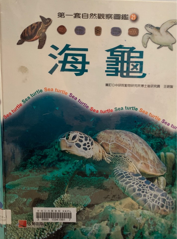 海龜