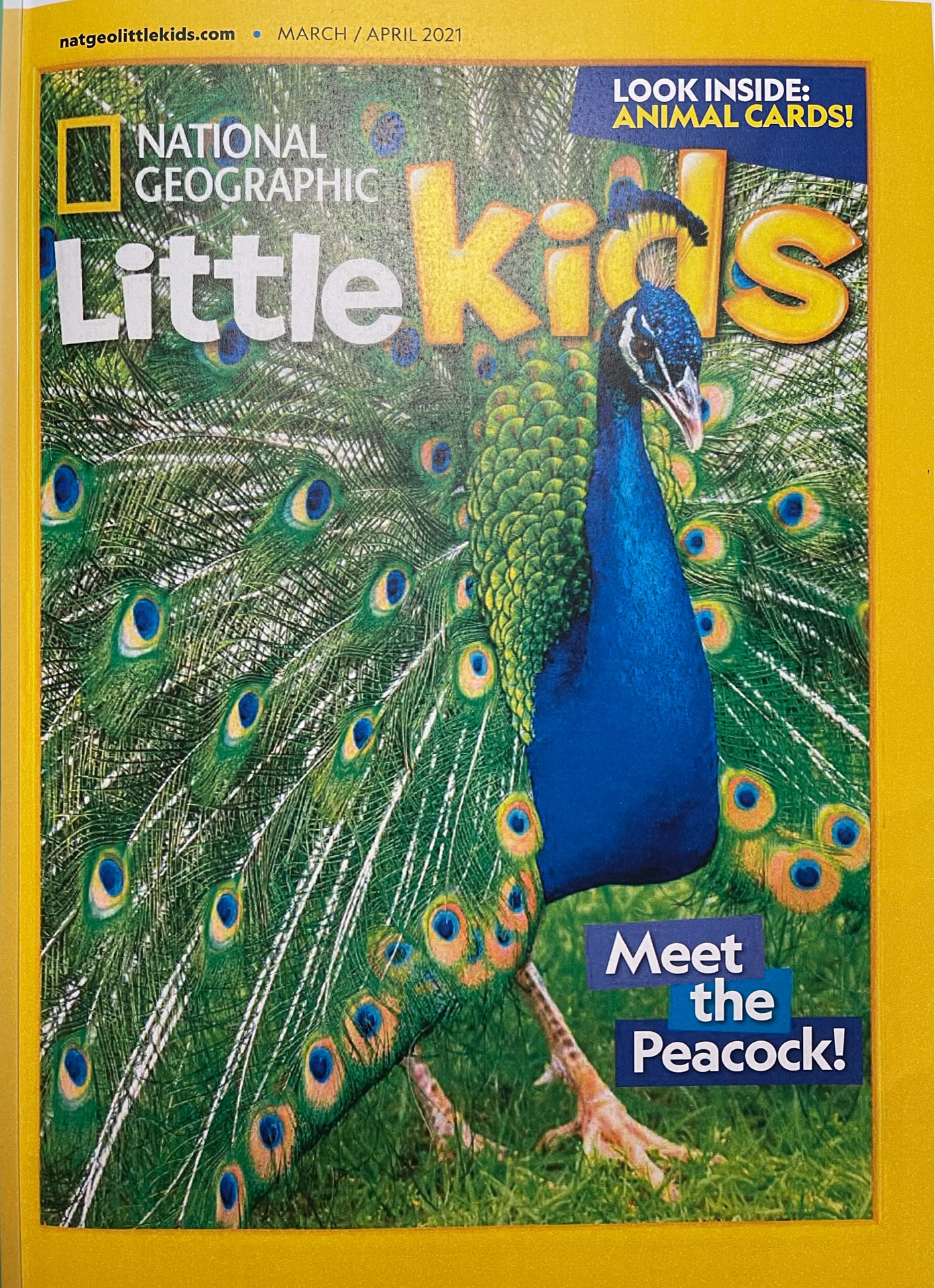 National Geographic Little Kids 2021.03