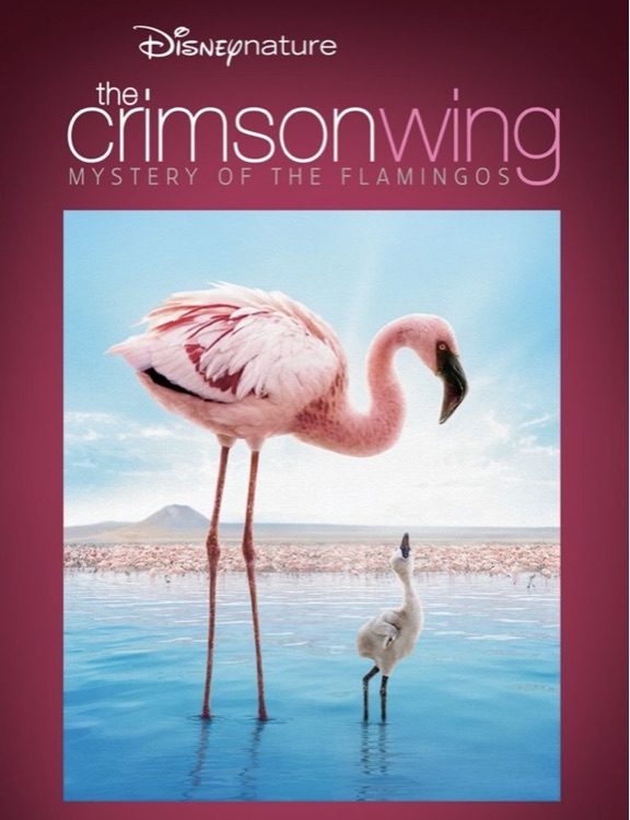 The Crimson Wing: Mystery of the Flamingos