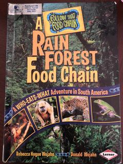 a rain forest food chains