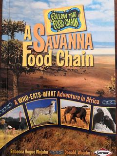a Savanna food chains