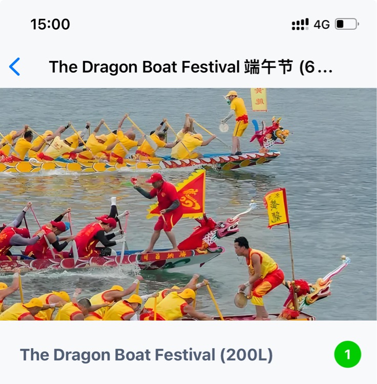 the dragon boat festival