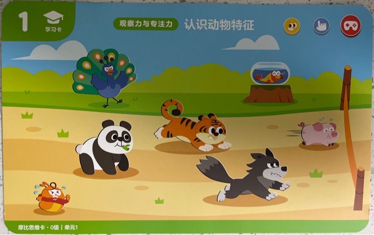 認識動物特征
