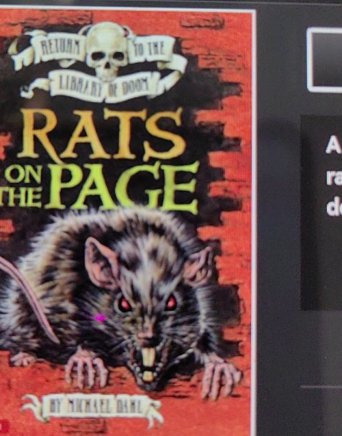 rats on the page