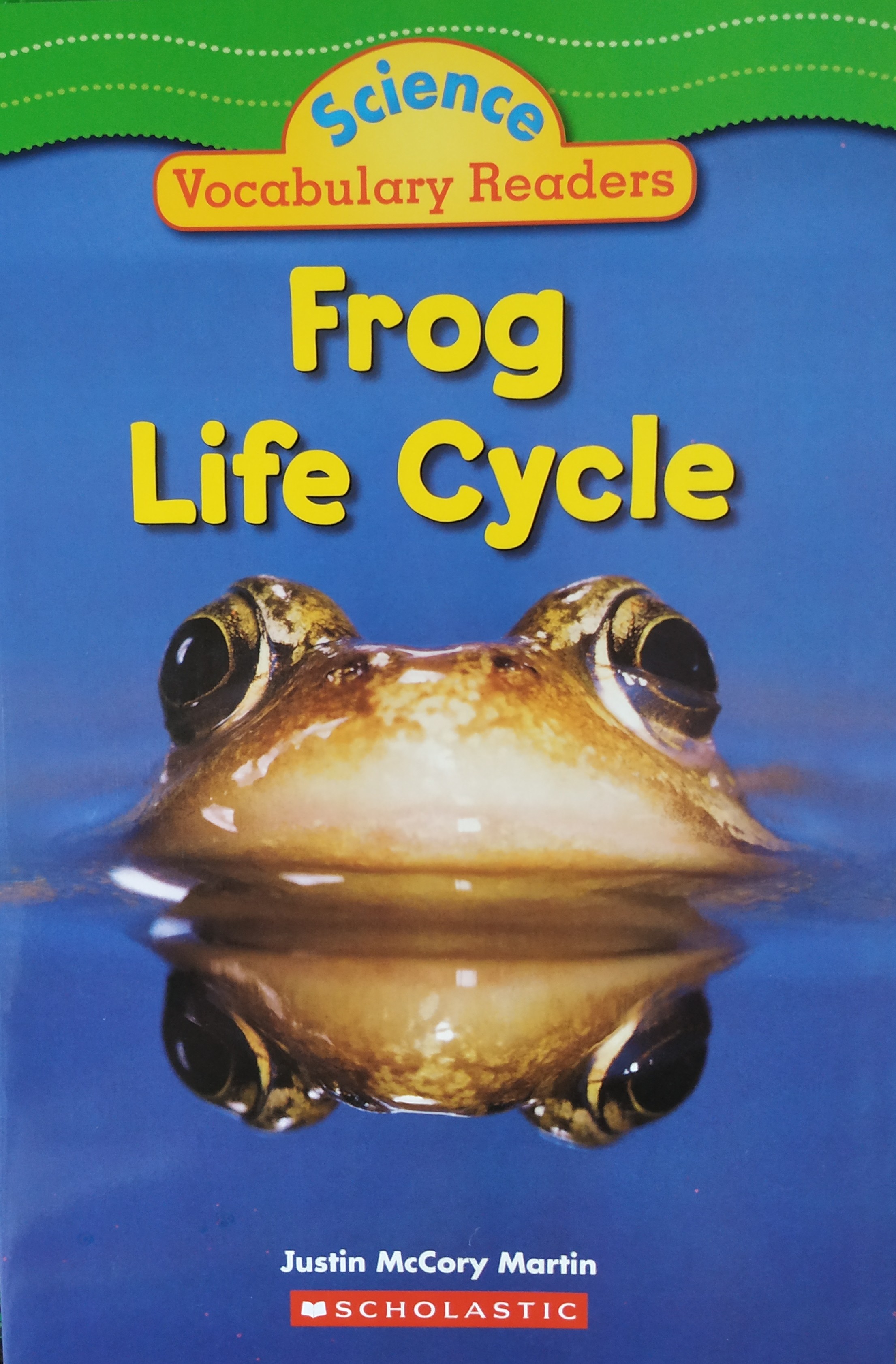 Frog Life Cycle