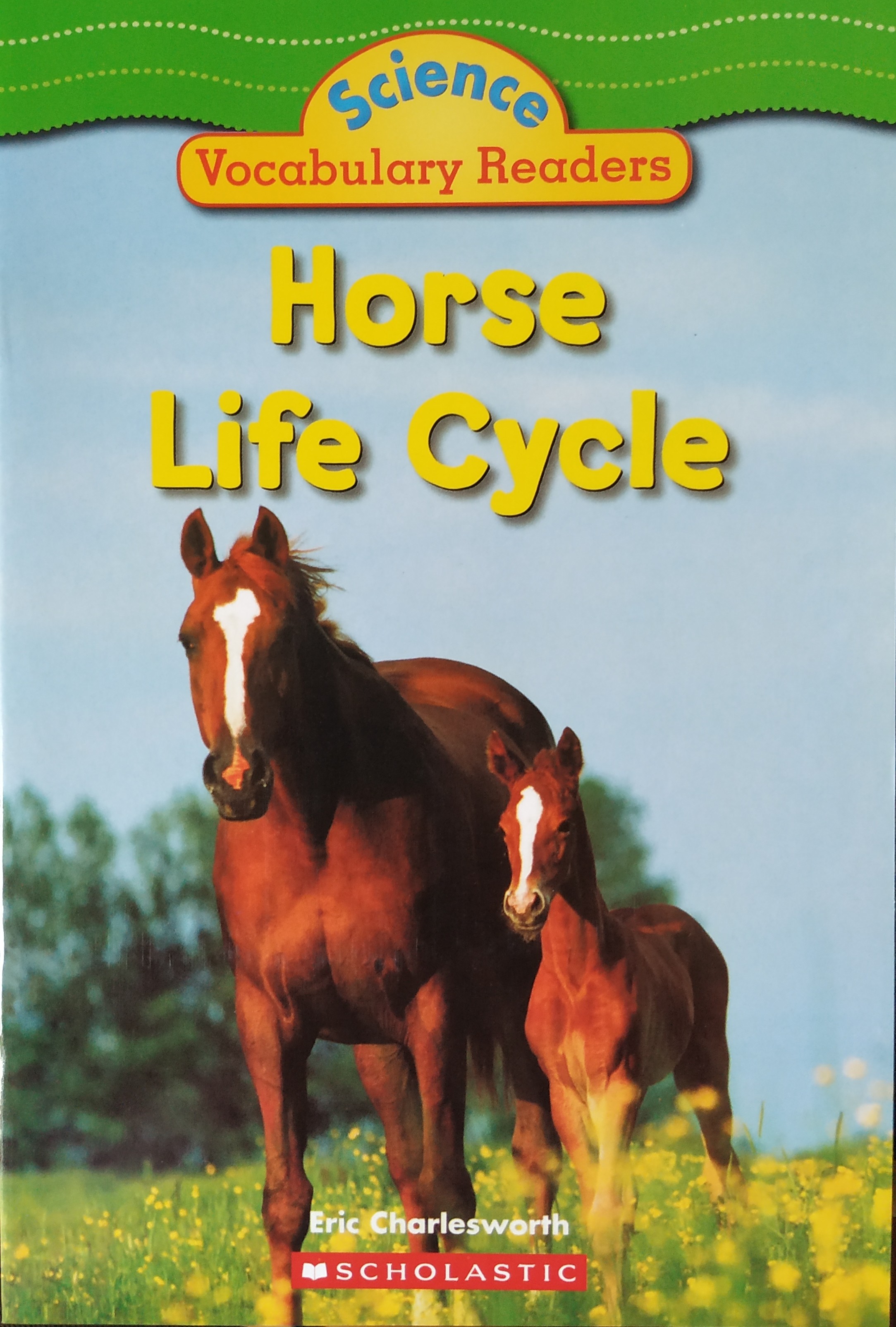 Horse Life Cycle