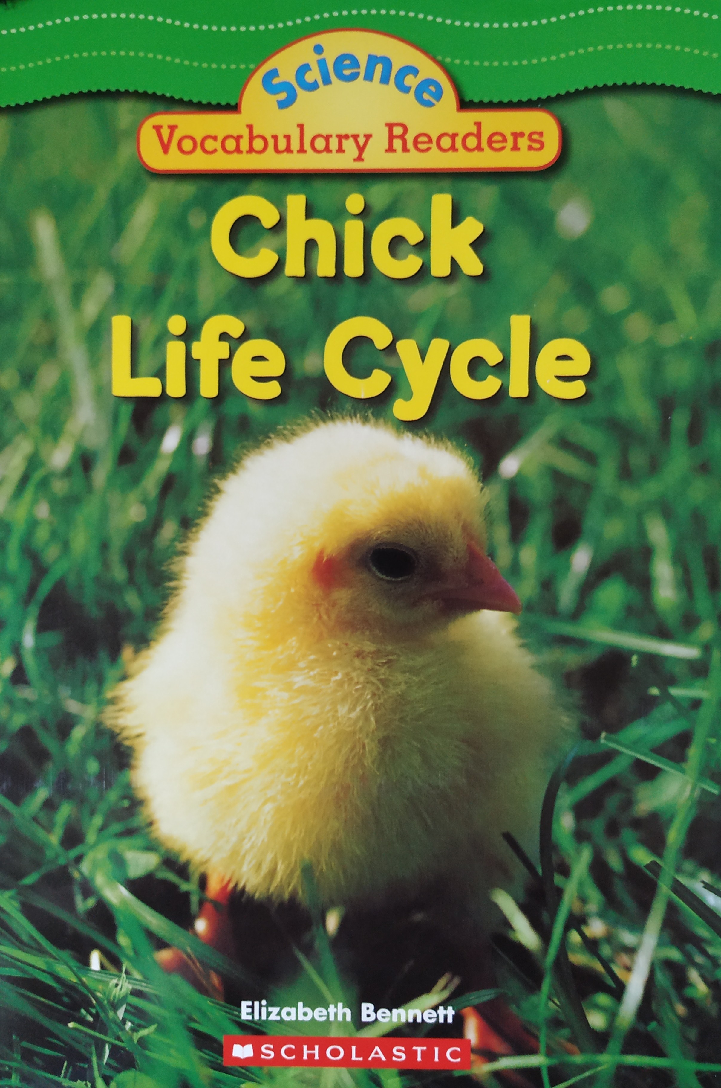 Chick Life Cycle