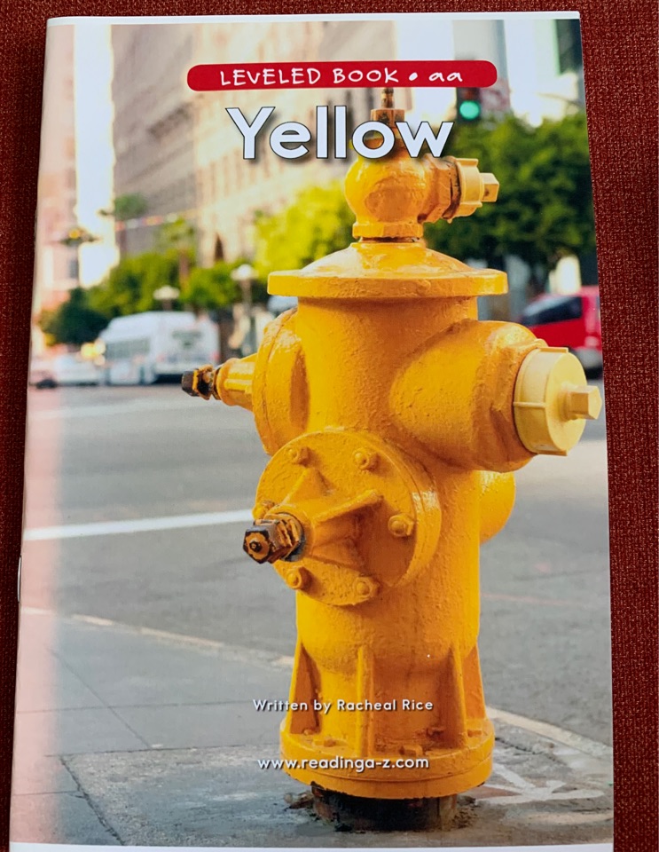 海尼曼-yellow