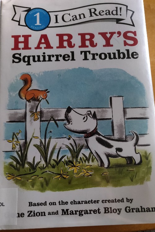 harry's squirrel trouble