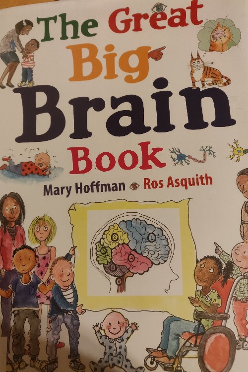 The Great Brain Book