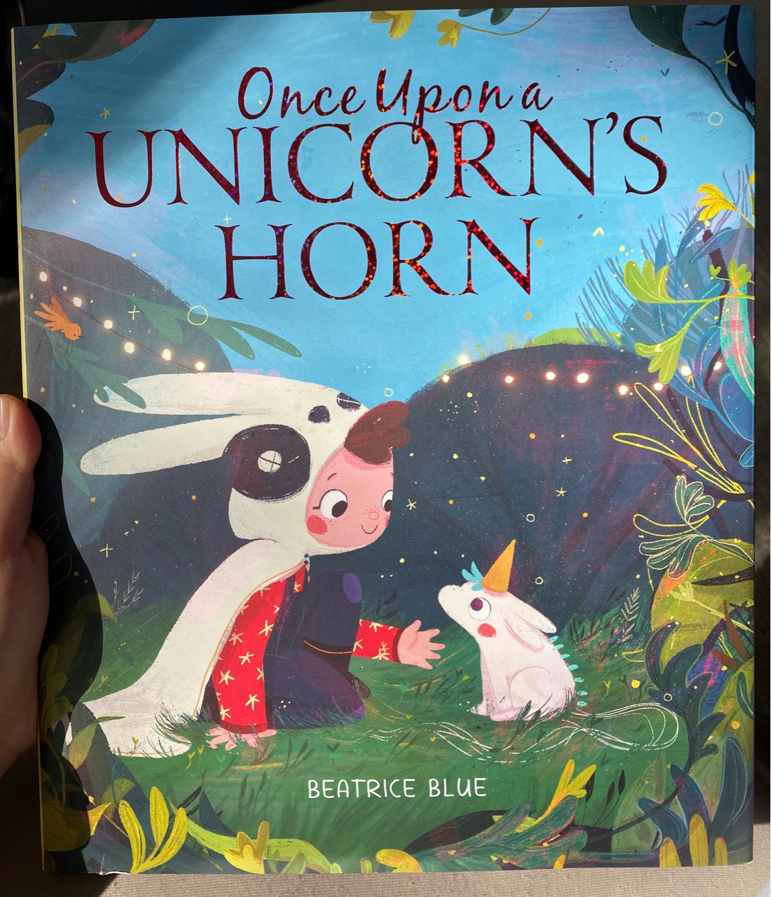 Once upon a unicorn's horn