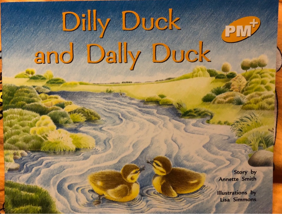 Dilly Duck and Dally Duck PM PLUS Level 7 Yellow