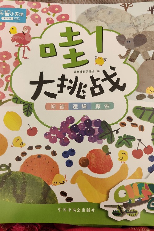 哇!大挑戰(zhàn)