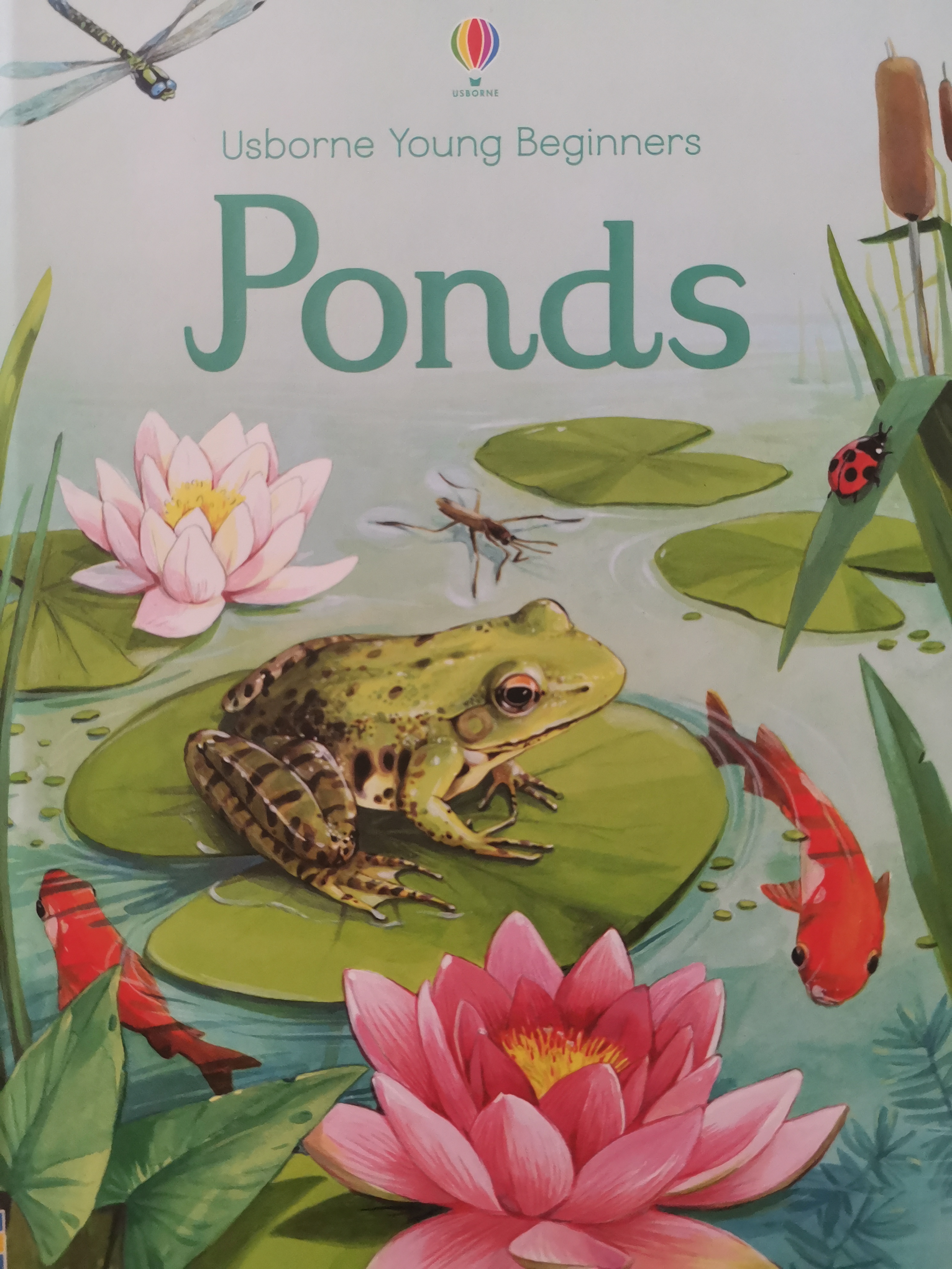 usborne Young Beginners Ponds