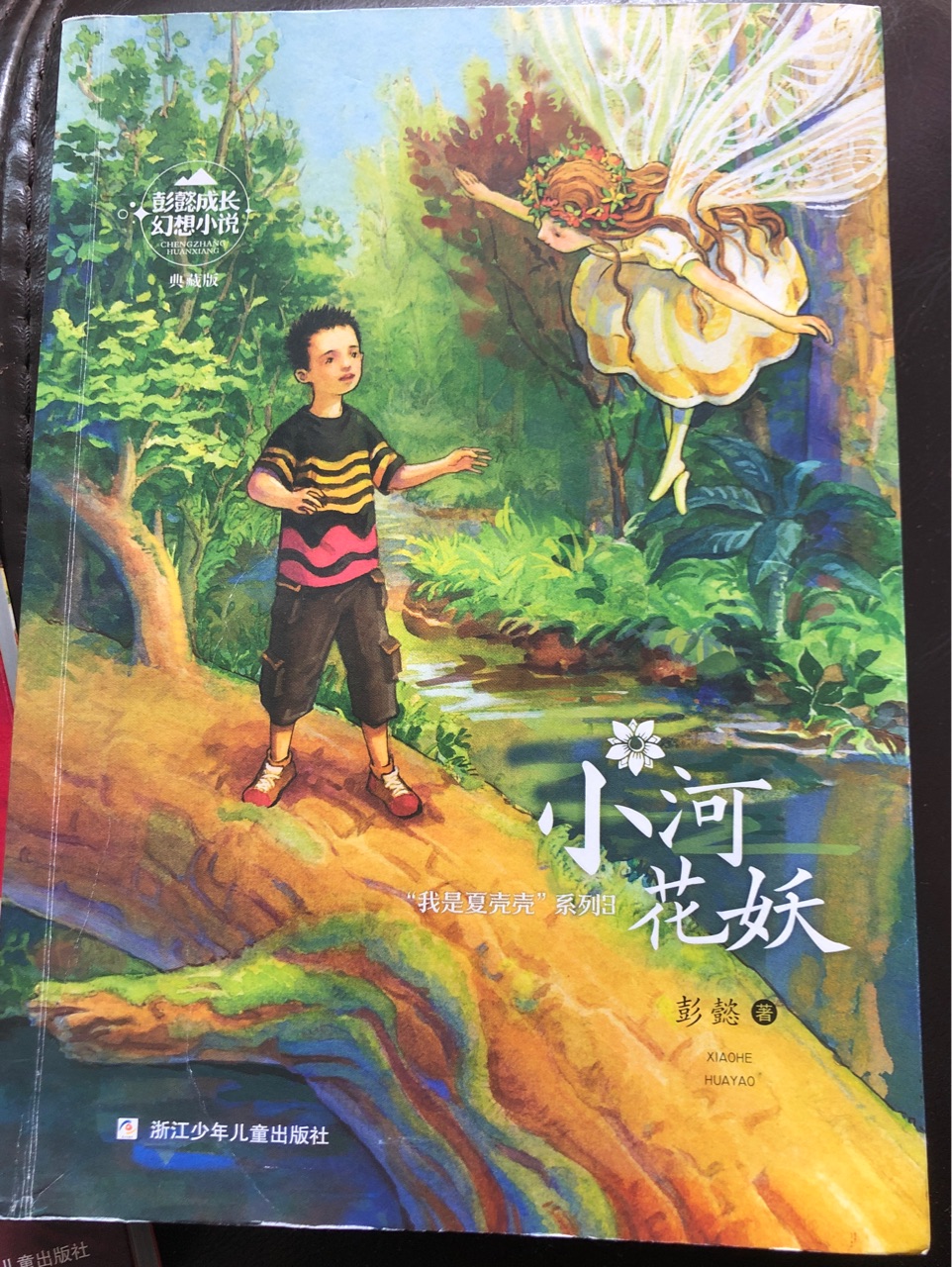 彭懿成長(zhǎng)幻想小說: 小河花妖